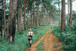 BIB: 
                            <button type="button" onclick="openModal(25741495)" class="btn btn-primary btn-sm float-right btn-popup" data-toggle="modal" data-target=".modal-high-quality">
                        <i class="fas fa-shopping-cart"></i> Add to Cart
                    </button>
                                            <button type="button" onclick="isThisMe(25741495, true)" class="btn btn-success btn-sm float-right btn-popup btn-isme hidden" data-toggle="tooltip" data-placement="bottom" title="นี่คือรูปของคุณใช่ไหม คลิกที่นี่เพื่อเอาเข้าอัลบั้ม">
                        <i class="fas fa-plus"></i> Add to album
                    </button>
                    <button type="button" onclick="isThisMe(25741495, false)" class="btn btn-warning btn-sm float-right btn-popup btn-isnotme hidden">
                        <i class="fas fa-ban"></i> Remove from album
                    </button>